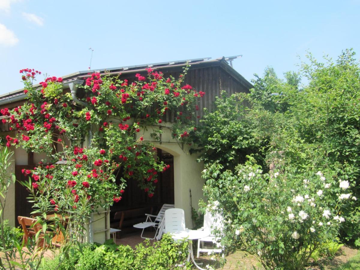 Ferienhaus Dierauf Бад Щафелщайн Екстериор снимка